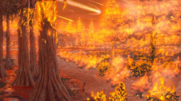 高温下，全球大片的森林被焚毁