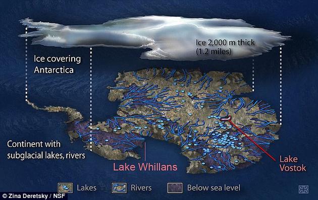 λϼ(West Antarctic Ice Sheet)·Լ800״Ļ˹ʵһƬʪơ