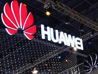 ��ƻ������ר���� ��Ϊ�����������ַ�֪ʶ��Ȩ