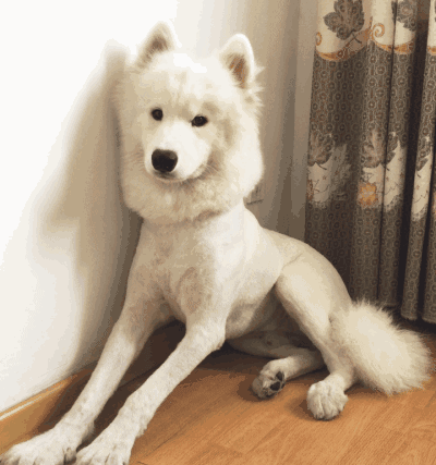 (事后……)人家羞羞 ⁄(⁄ ⁄•⁄ω⁄•⁄ ⁄)⁄