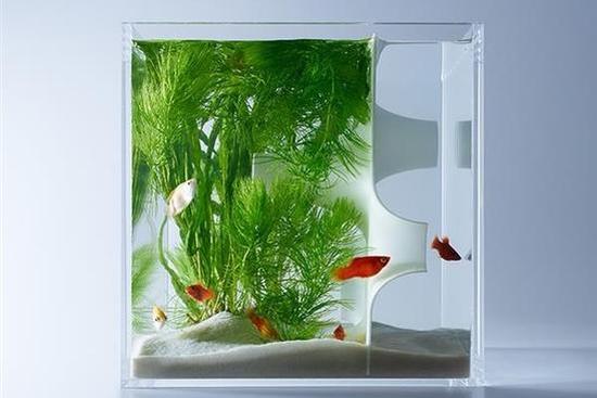 水草造景 日本艺术家3D打印梦幻水族箱