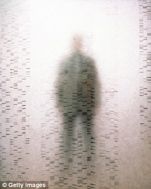 ֲ٣簣կѧоʵϸһӼƻܴĳɹ
