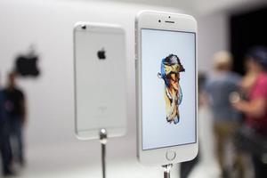 ƻ���ֱ�Ͷ���� ������ַ�����ר��