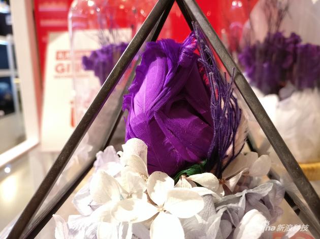 ΢������