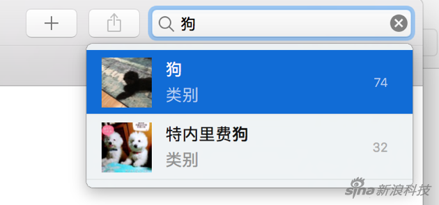 输入“狗”之后 照片应用根据内容识别