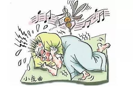 蚊香有毒吗:流言揭秘:常见的几种蚊香有毒吗? (图片来自网络)