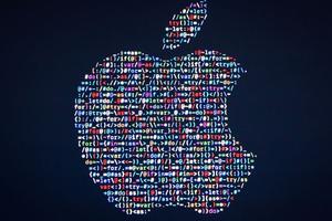 ƻ����˾�׸�ԭ�����ӽ�ĿӦ�����򼴽�����