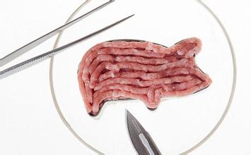 你愿意食用实验室培养的肉类吗？(新浪科技配图)