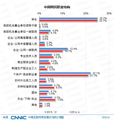 图 13 中国网民职业结构