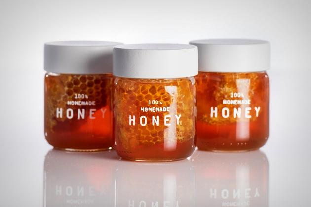 我的蜂巢:在家也能养蜜蜂了Homehive属于我自己的智能蜂巢