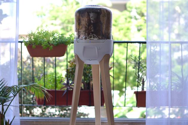 我的蜂巢:在家也能养蜜蜂了Homehive属于我自己的智能蜂巢
