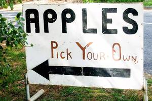 ����ƻ������10�깫�� ������������5������