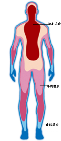 身体发热和发烧的区别