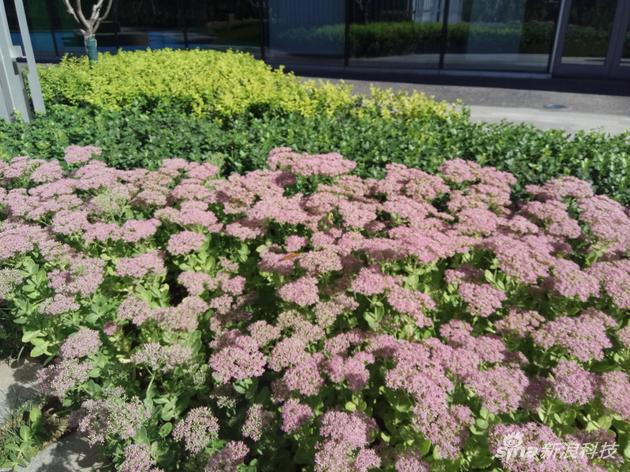 红米Note 4外景细节