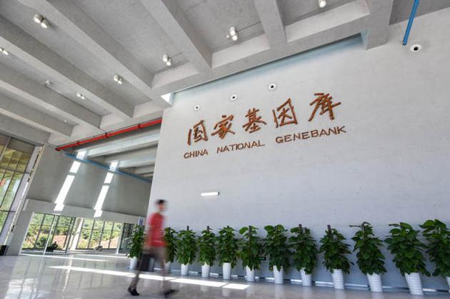 這是6月23日拍攝的國家基因庫內(nèi)景。 新華社記者 毛思倩 攝