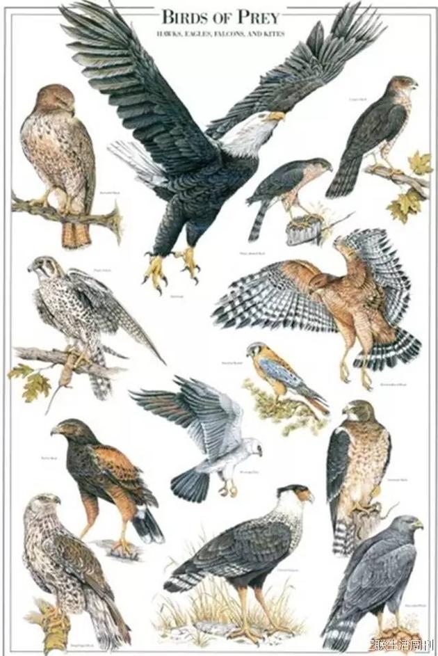 深圳国家基因库:生命时代的诺亚方舟|基因库