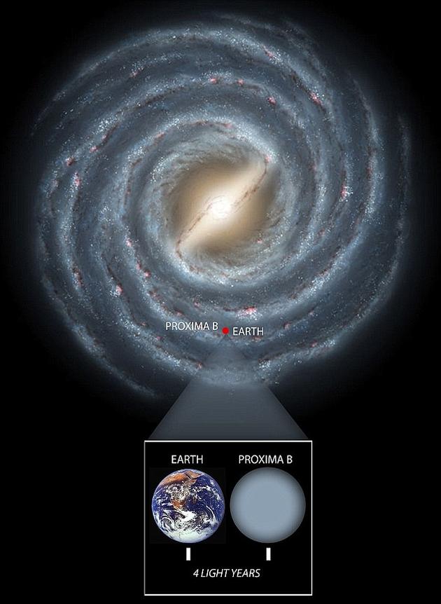 ϵֱ10꣬b֮ľ벻4꣬ѧУһΪӽľ