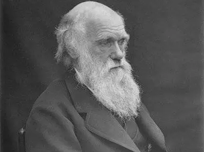 Wikimedia Commons