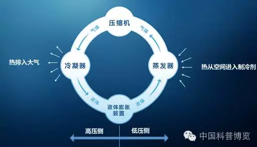 人体冷冻:中科院美女科学家:20万美元冷冻人体靠谱吗?
