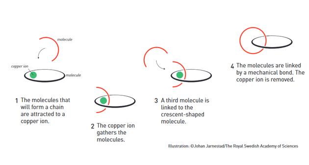 图一 索瓦使用一个铜离子来互锁分子(使用机械键)。