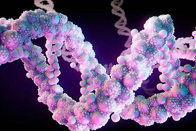 研究称智商高的人或生来就比他人聪明：占据基因优势