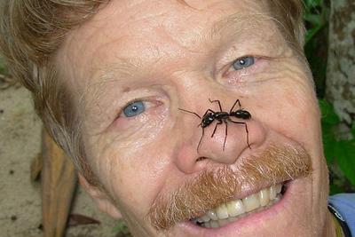 昆虫学家为编写新书 自愿被85种不同昆虫叮咬上千次