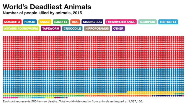 全球最致命的动物