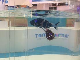  Ω��ΩФ�Ļ�����