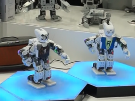  ��Ȼ���������