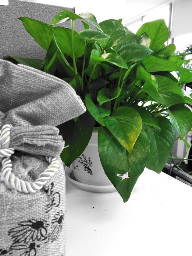 中兴天机7MAX简评:3D视觉体验