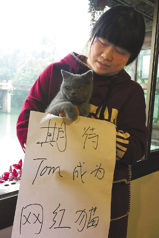 7个乌镇人的WIC期待