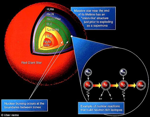 宇宙中的所有化学元素，除了氢、氦和少量的锂之外，几乎都是在恒星内部形成的。当恒星死亡时，这些化学元素就被散布在宇宙中，新一代的恒星，行星乃至生命便从中诞生