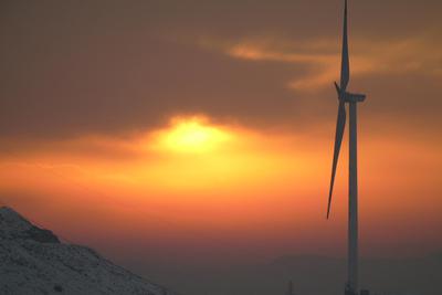 ר��ƻ���������ܲã������ĿͶ�����й�����������