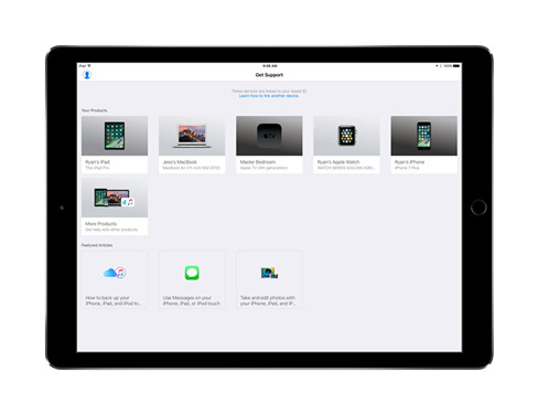 Apple Support界面