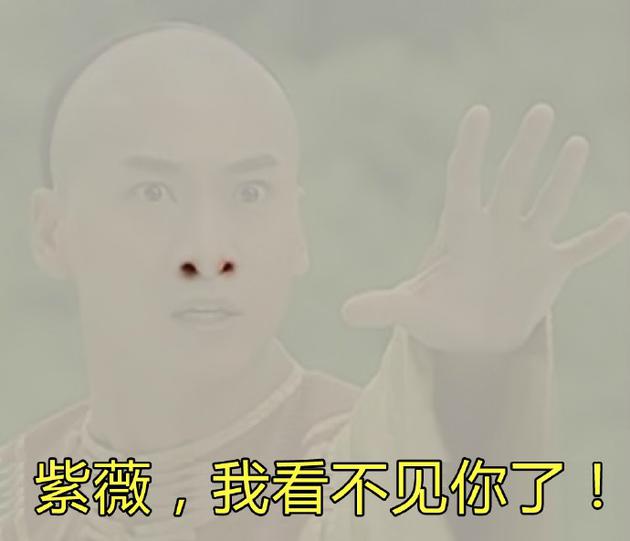 雾霾笑话:影响北方的雾霾进入最严重阶段网友的段子和表情包亮了