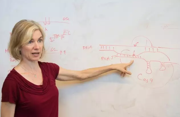 jennifer doudna,astronomer 《自然》快速评审:"基因魔剪"家族添新成员