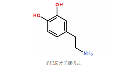 光阴似箭还是度日如年可能是多巴胺的问题