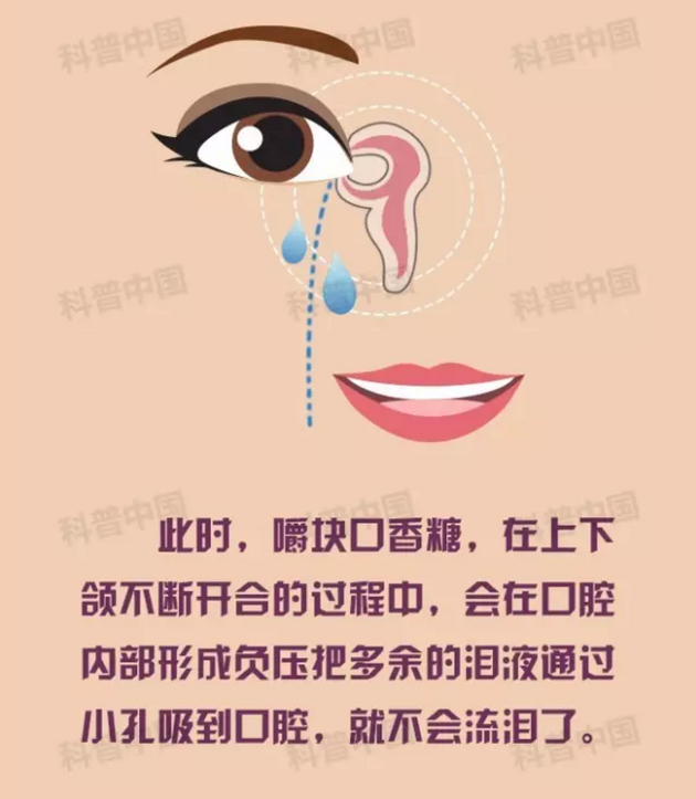 切洋葱不会流泪的方法