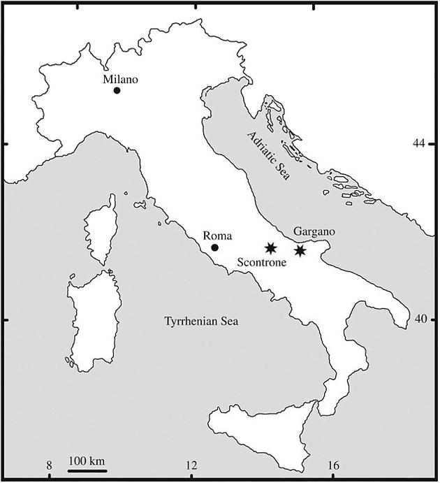 它们的化石是在意大利的加尔加诺地区被发现的。
