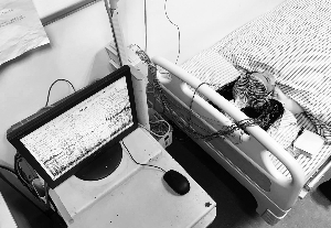 现代快报记者头部连着传感器,枕下放着装有两款睡眠APP的手机 现代快报/ZAKER南京记者 徐洋 摄