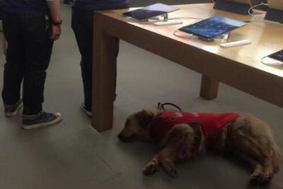 ů��ʱ�䣺ƻ����Ա��������äȮ�ϰ�