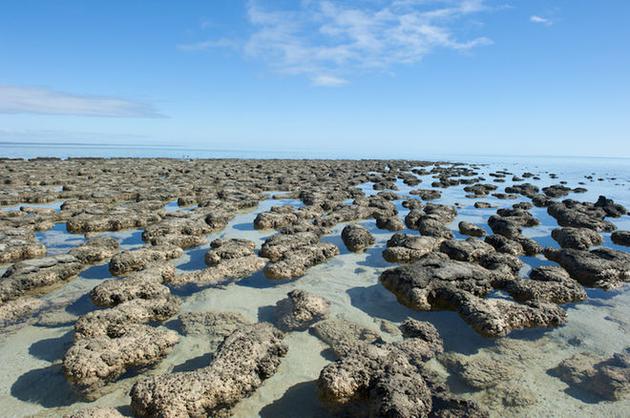 地球上最初的生命是什么?38亿年前最古老岩石