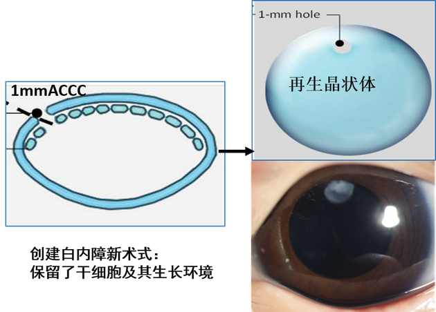 创建新术式示意图