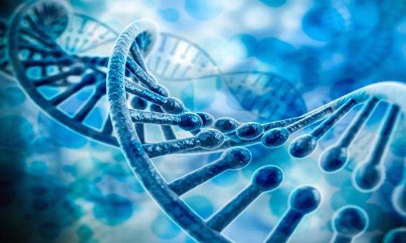 CRISPR编辑人类胚胎有效性首次获证|试管婴儿