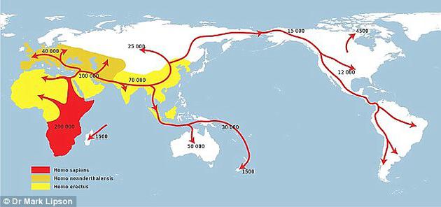 基因突变帮助早期人类适应了新的食物 原始人类离开非洲并征服世界其他区域的模型之一。研究者表示,脂肪酸去饱和酶基因的改变可能促进了这一过程