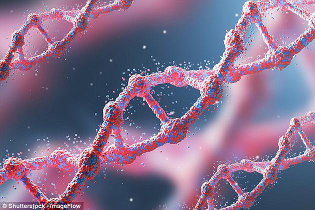基因突变帮助早期人类适应了新的食物 在近期的一项研究中,科学家定位了帮助原始人类适应新食物的基因