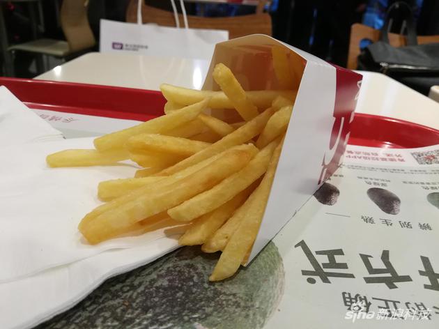 食物样张