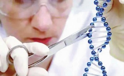 基因魔剪 之战续集:欧洲专利局VS美国专利与商