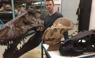 科学家对恐龙性别差异证据提出质疑