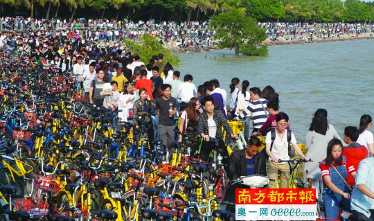 4月3日，深圳湾公园内临海道路被堵得水泄不通，大量共享自行车停放在路边。 南都记者 霍健斌 摄